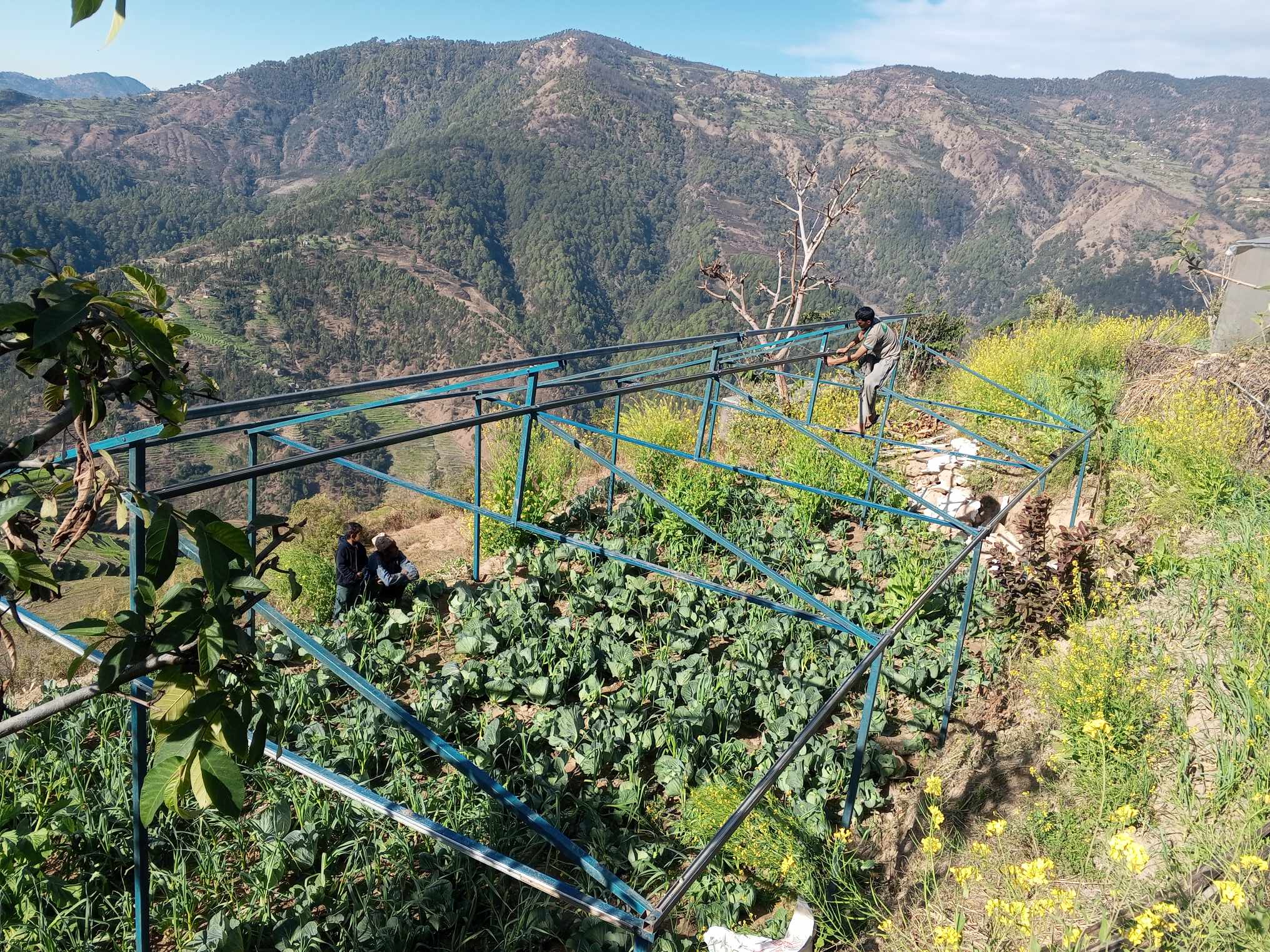 Green Economy Accelerator