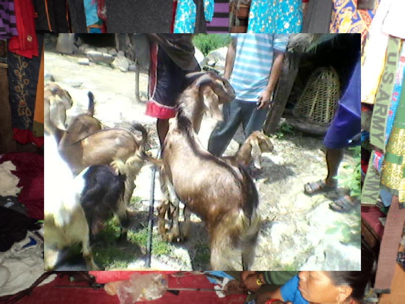 व्यवसायको सफलता 