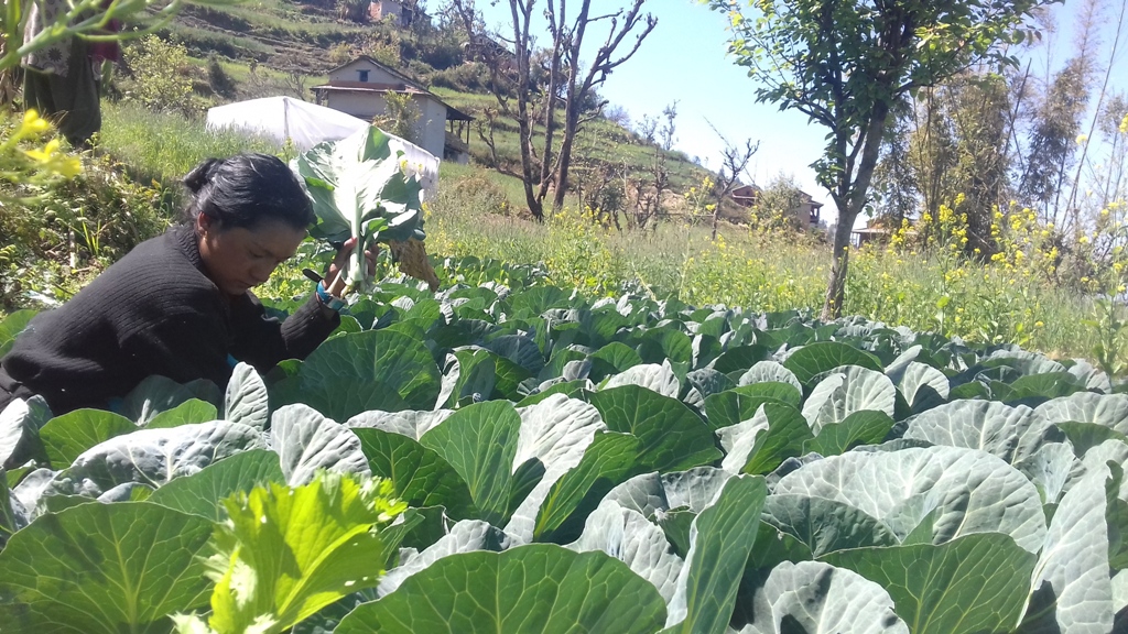 Successful life by product of persistence